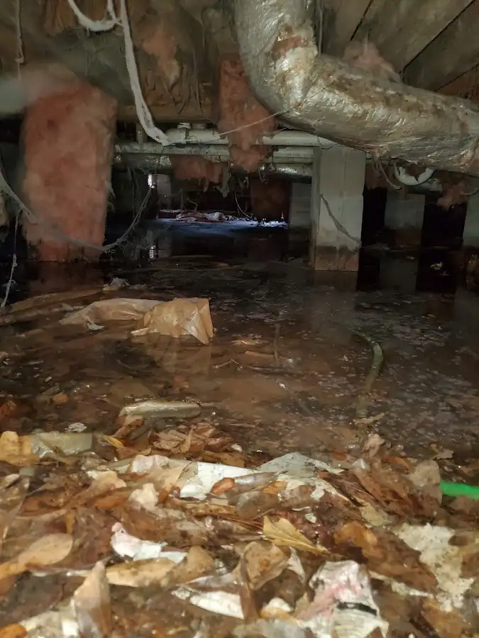 Crawl space flood assessment for Leak Detection & Repair in Pella